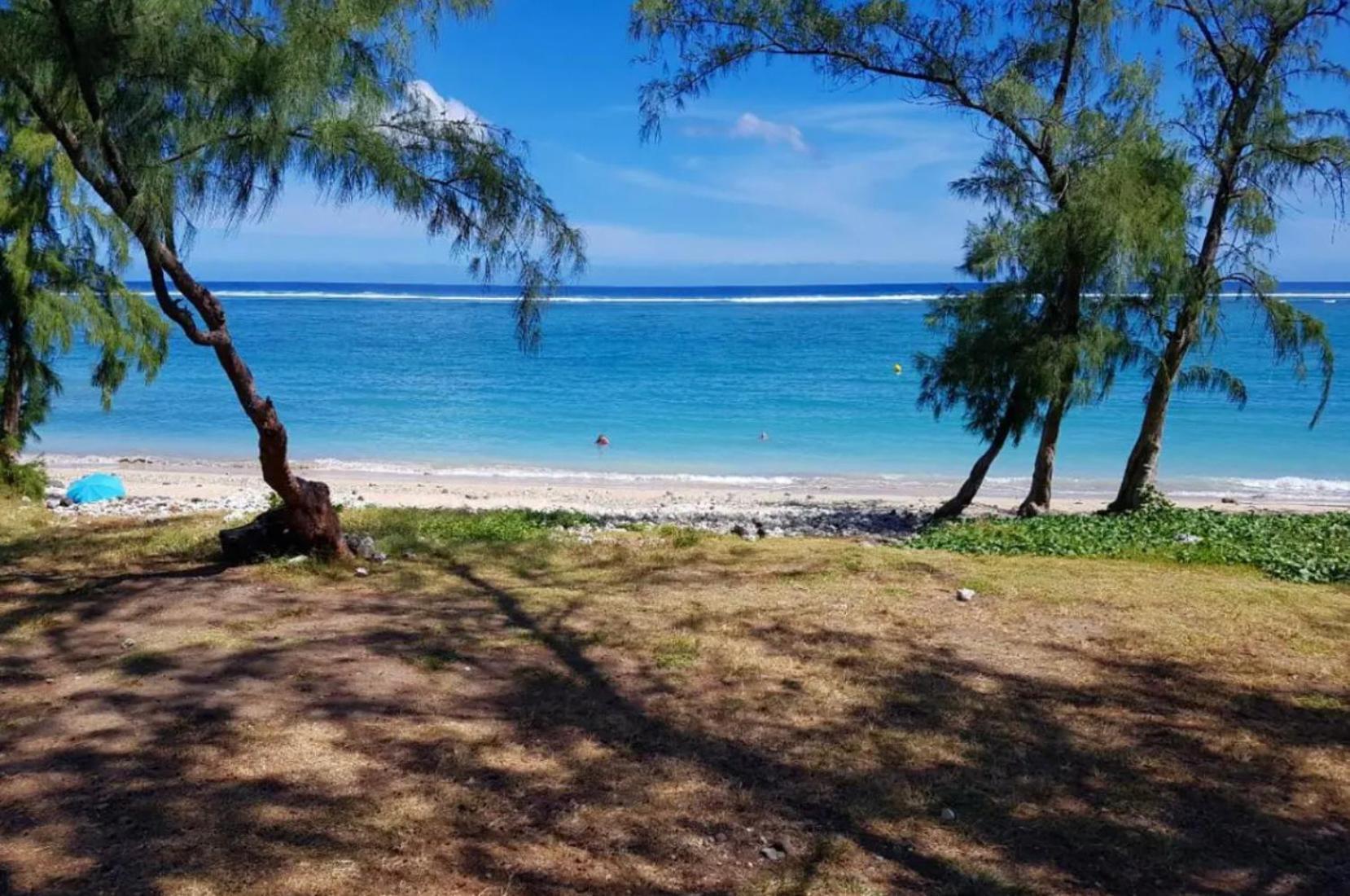 Le Tamarin Bleu - Studio A 300 M De La Plage La Saline Le Bains Buitenkant foto